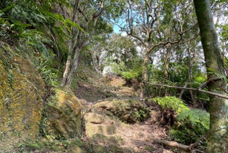 汐止山徑守護者 115年步道生態導覽