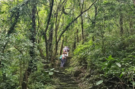 「從植物看環境」綠人培訓課程