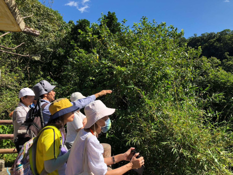 2024年01月假日導覽